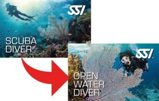 Upgrade Scuba Diver a Open Water Diver