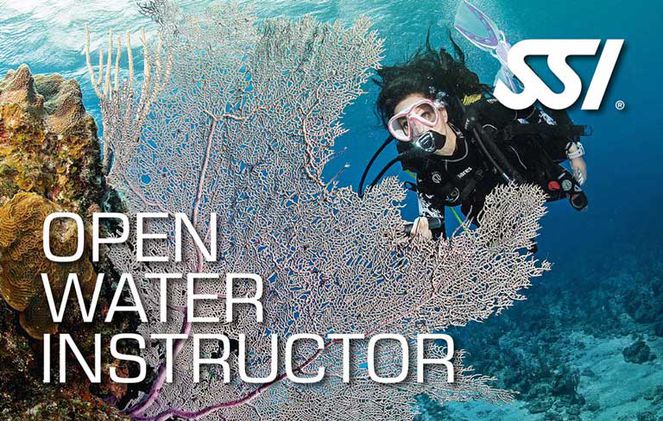 Marepolis-buceo-logo-SSI-OWD-Instructor-768px
